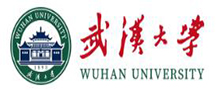 武漢大學(xué)